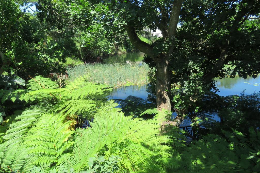 Quarry Lake Inn East London Luaran gambar